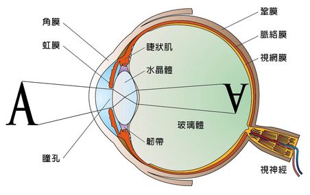 【公众眼讲堂】打羽毛球对眼睛的好处有多大?